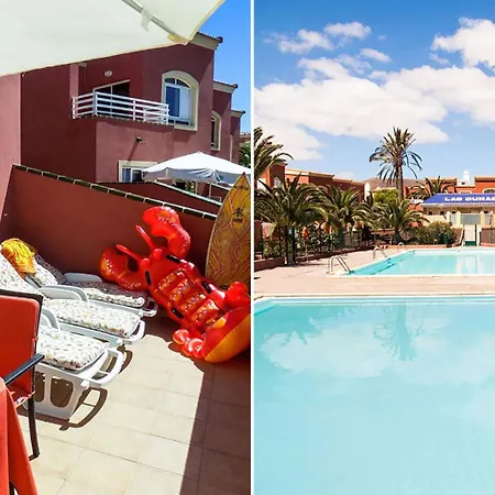 Paradise * 코라레호