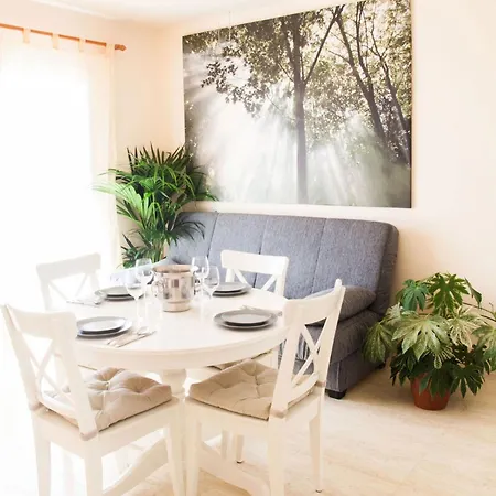 Paradise * 코라레호