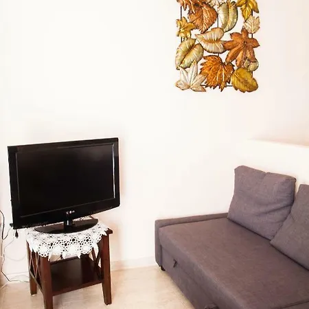 Paradise * 코라레호